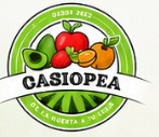 Logo Casiopea